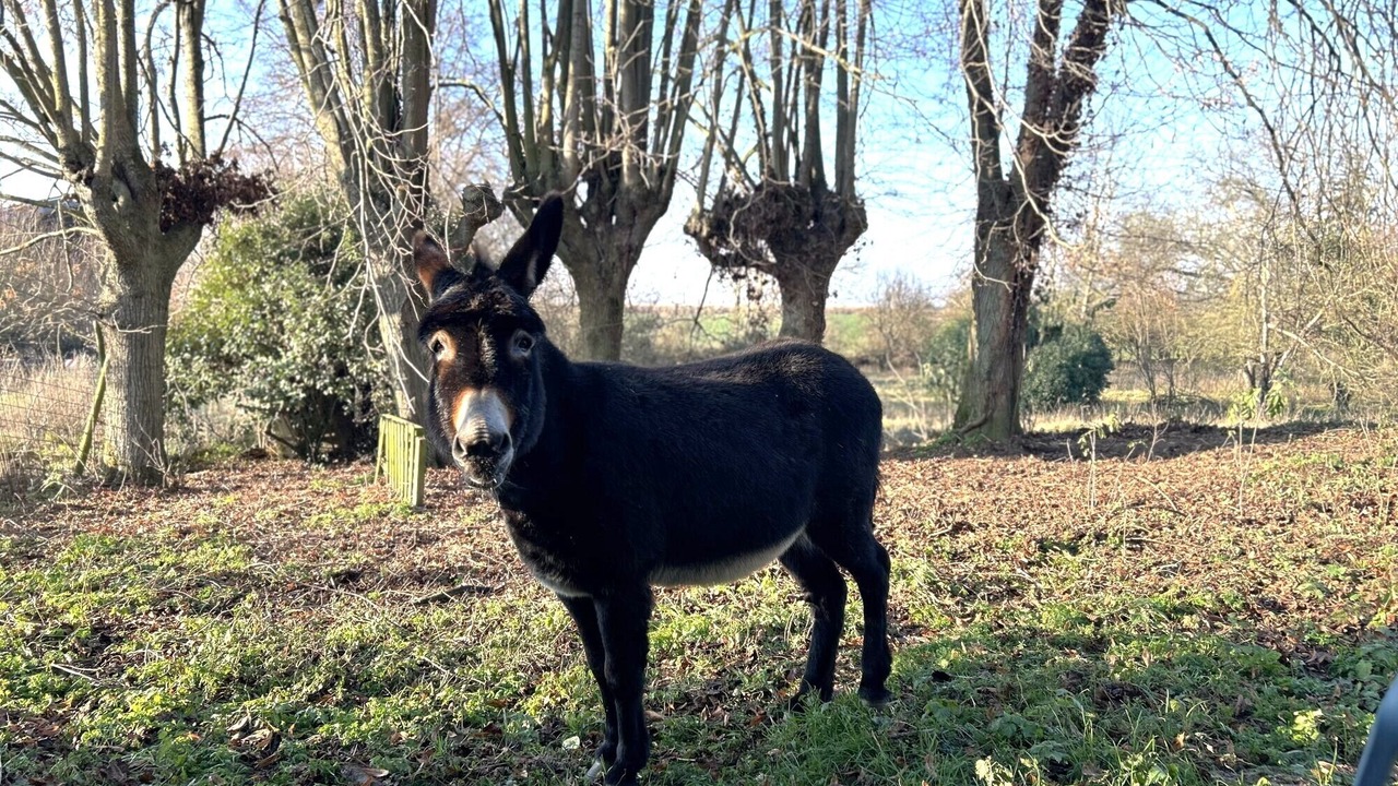 Photo of Others in Herleville