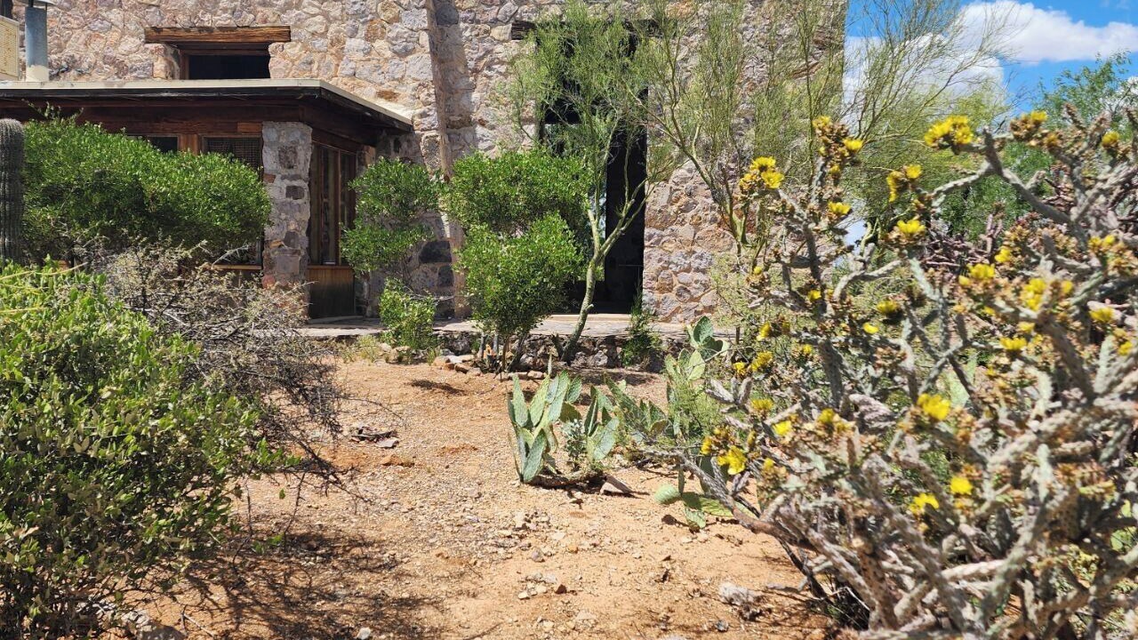 Photo of Outdoor in Tucson