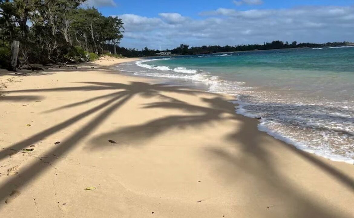 Photo of Others in Hauula