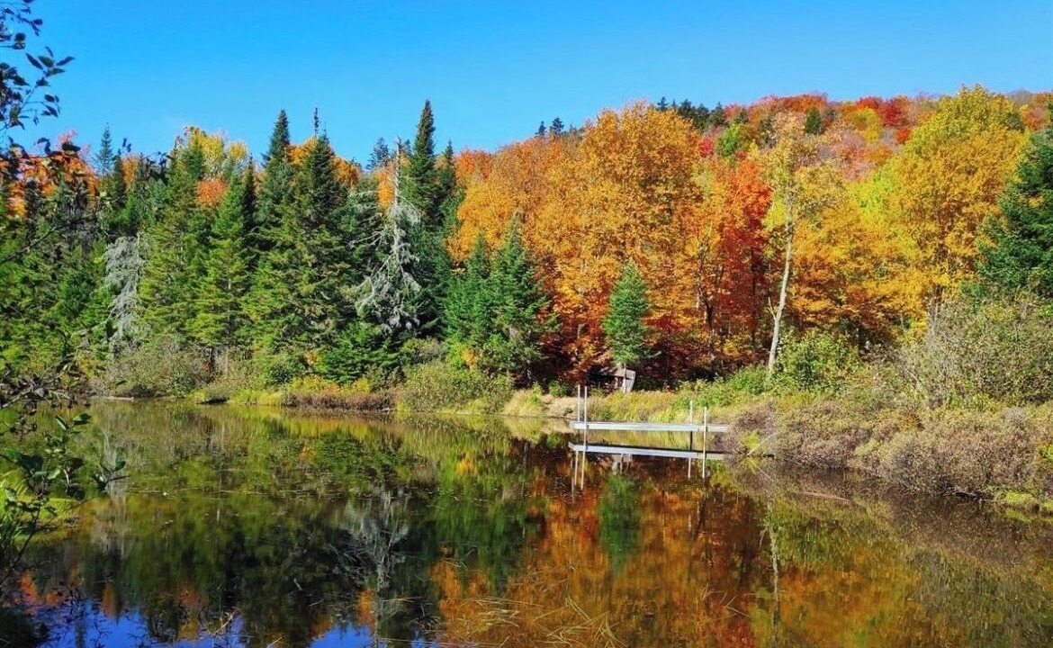Photo of Others in St-Adolphe-d'Howard
