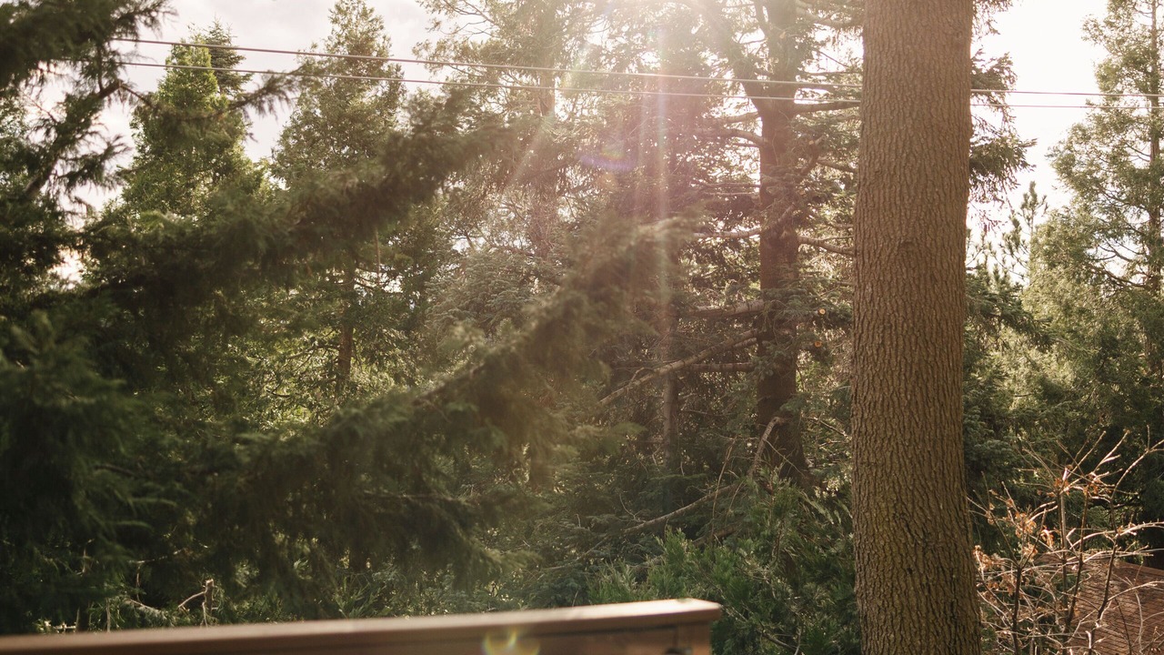 Photo of Outdoor in Arrowhead Villas
