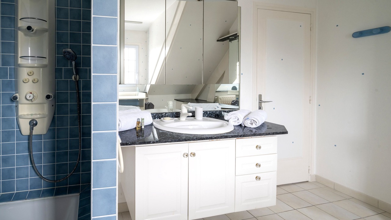 Photo of Bathroom in Vaires-sur-Marne