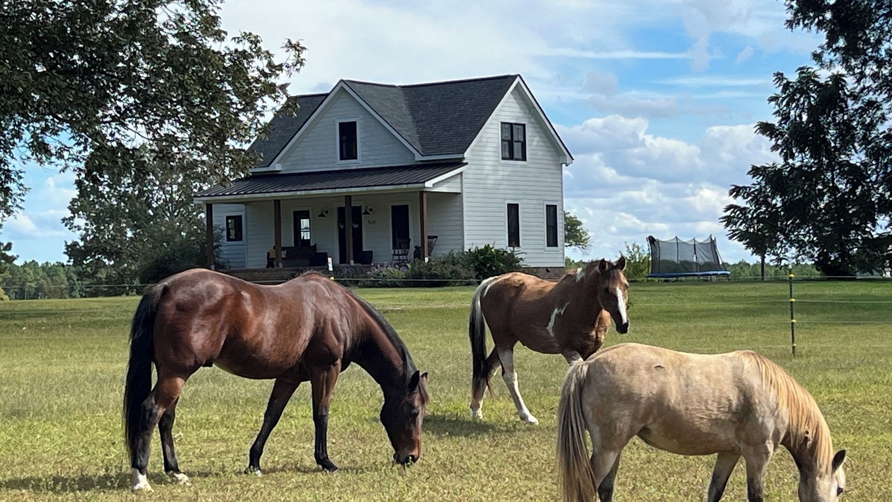 Photo of Outdoor in Macon