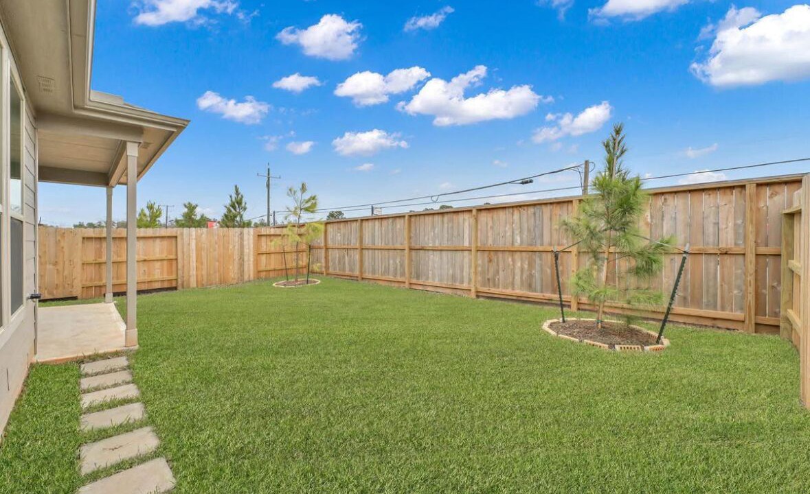 Photo of Outdoor in Conroe