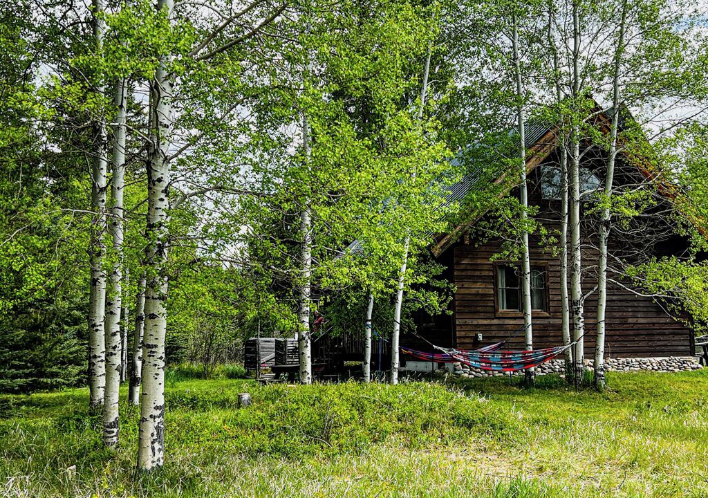 Photo of Outdoor in Polebridge