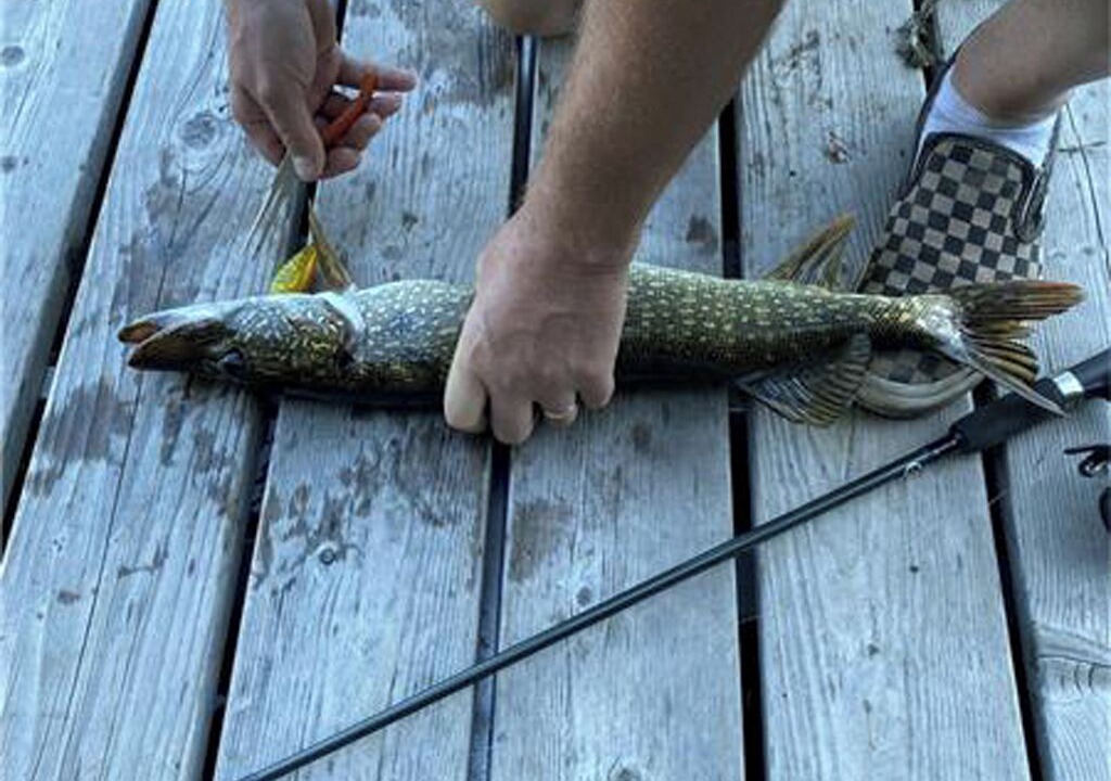 Photo of Others in Greater Madawaska