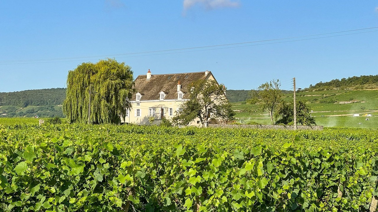 Photo of Others in Puligny-Montrachet
