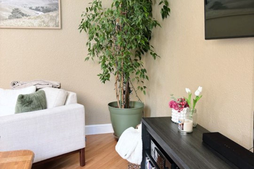 Photo of Livingroom in Grants Pass