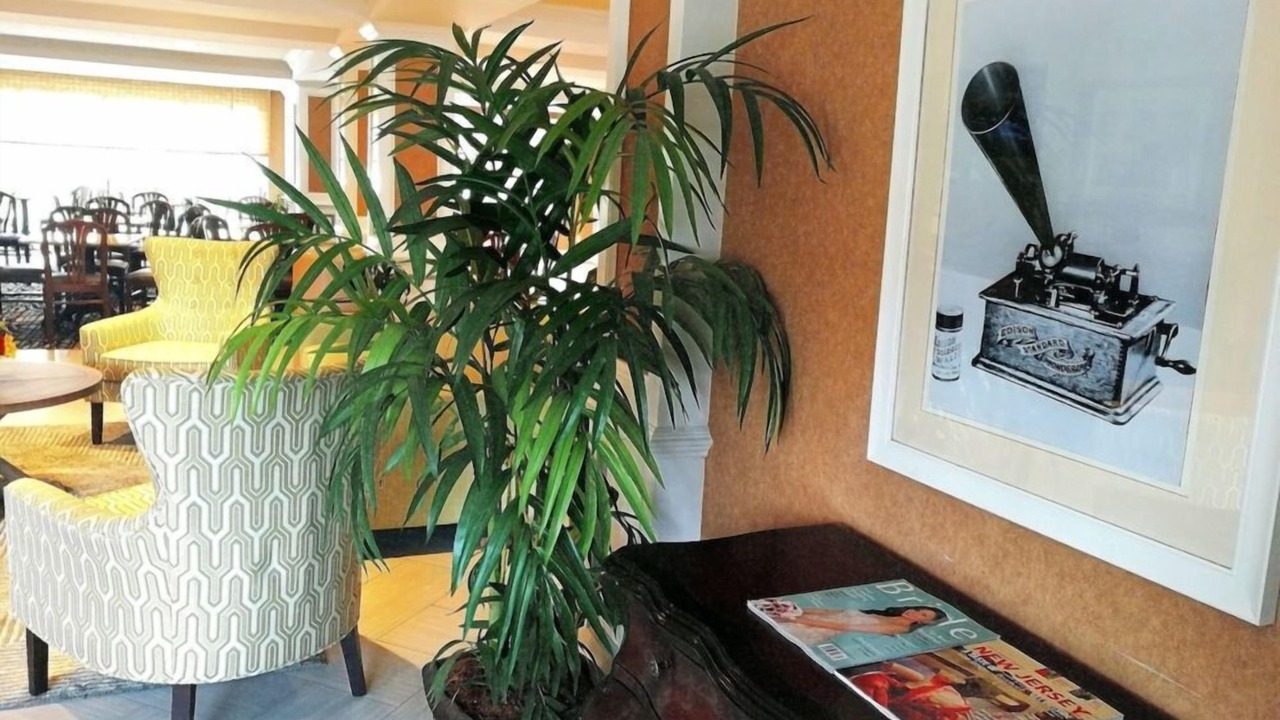 Photo of Others in West Orange