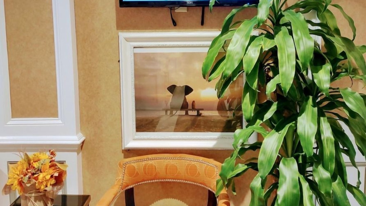 Photo of Others in West Orange