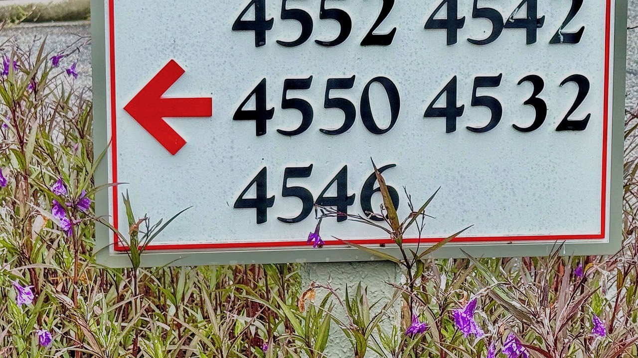 Photo of Outdoor in Red Hill