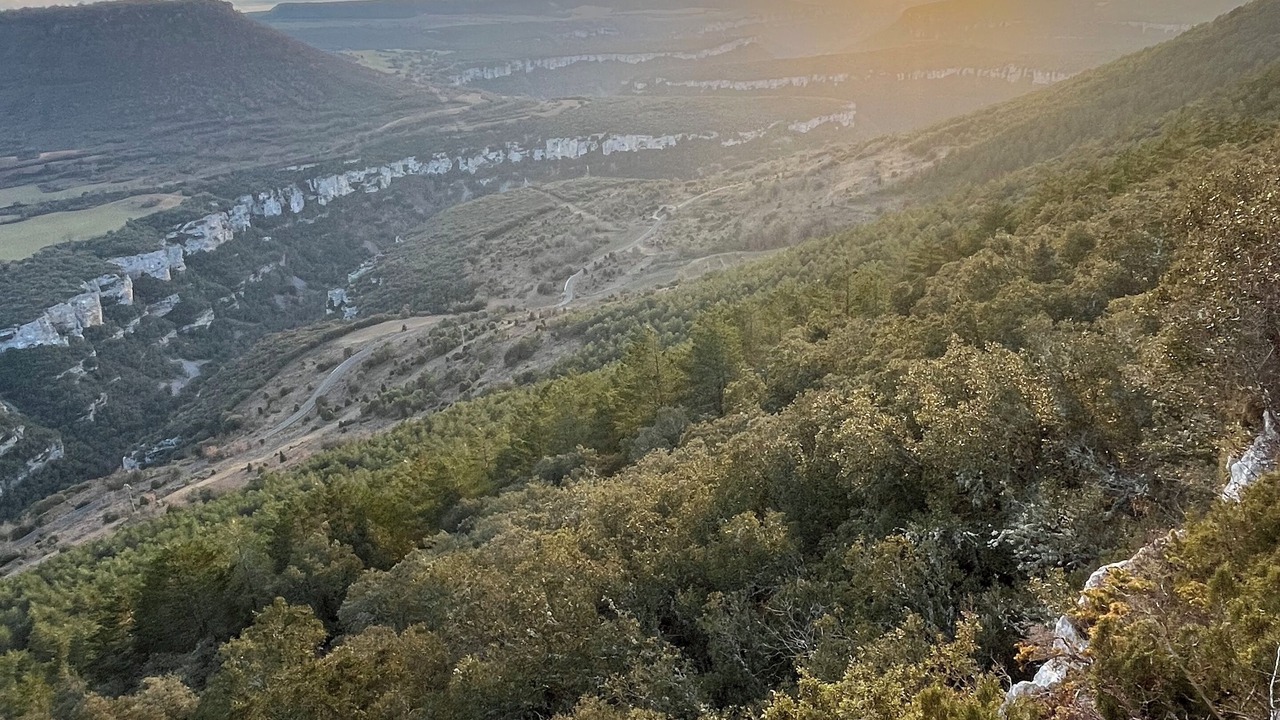Photo of Others in Pesquera de Ebro