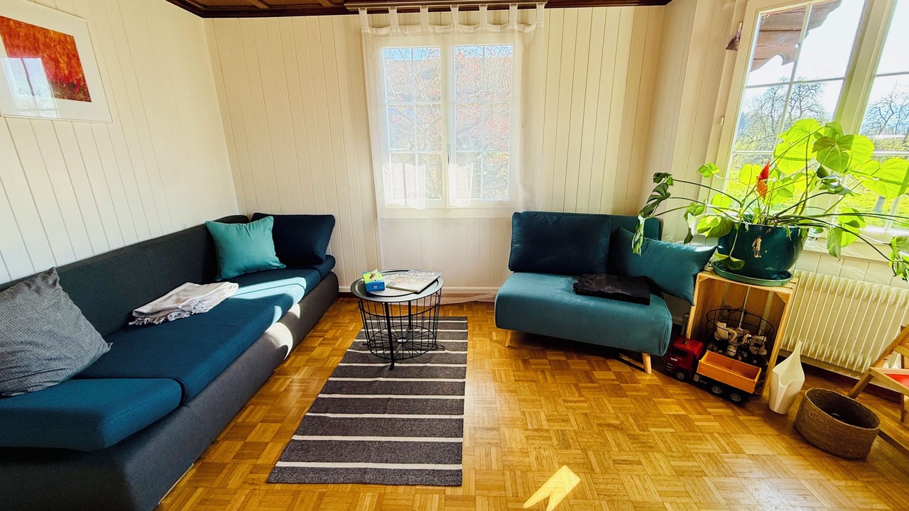 Photo of Livingroom in Ballwil