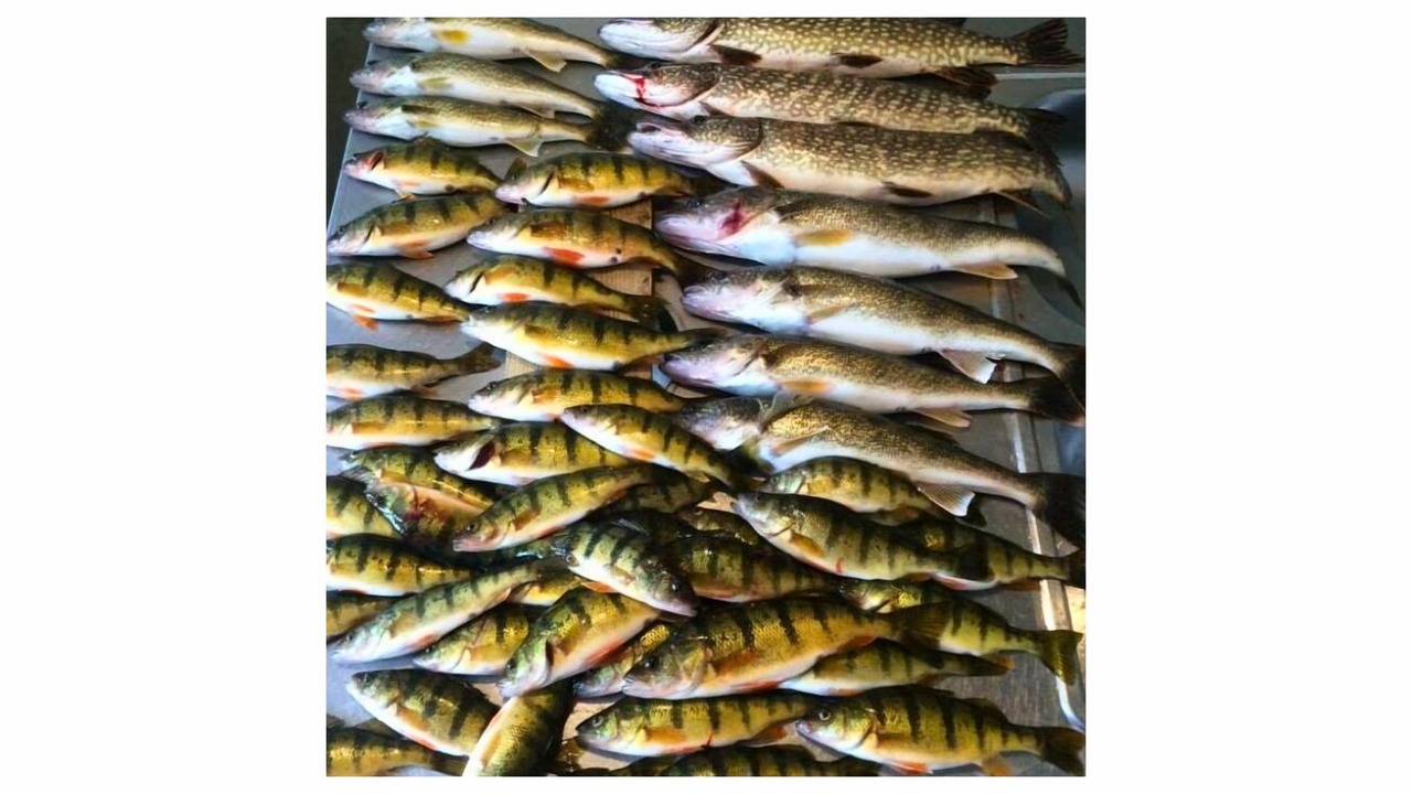 Photo of Others in Cass Lake