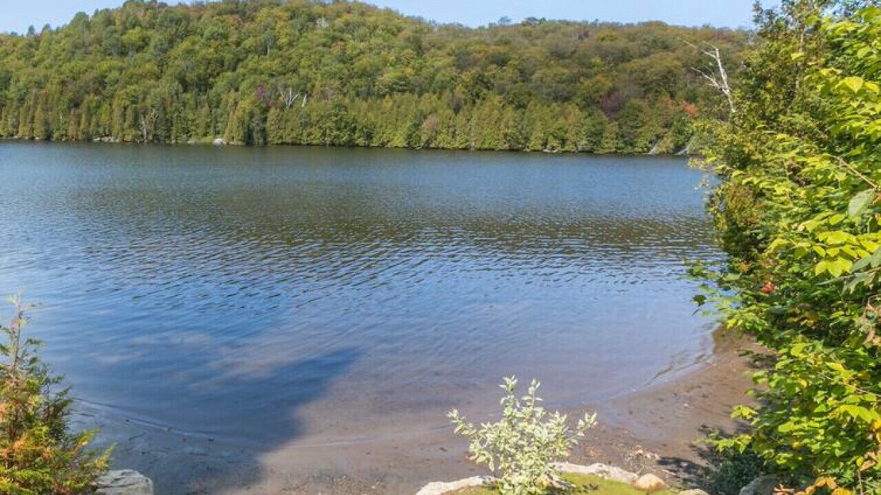 Photo of Others in St-Adolphe-d'Howard
