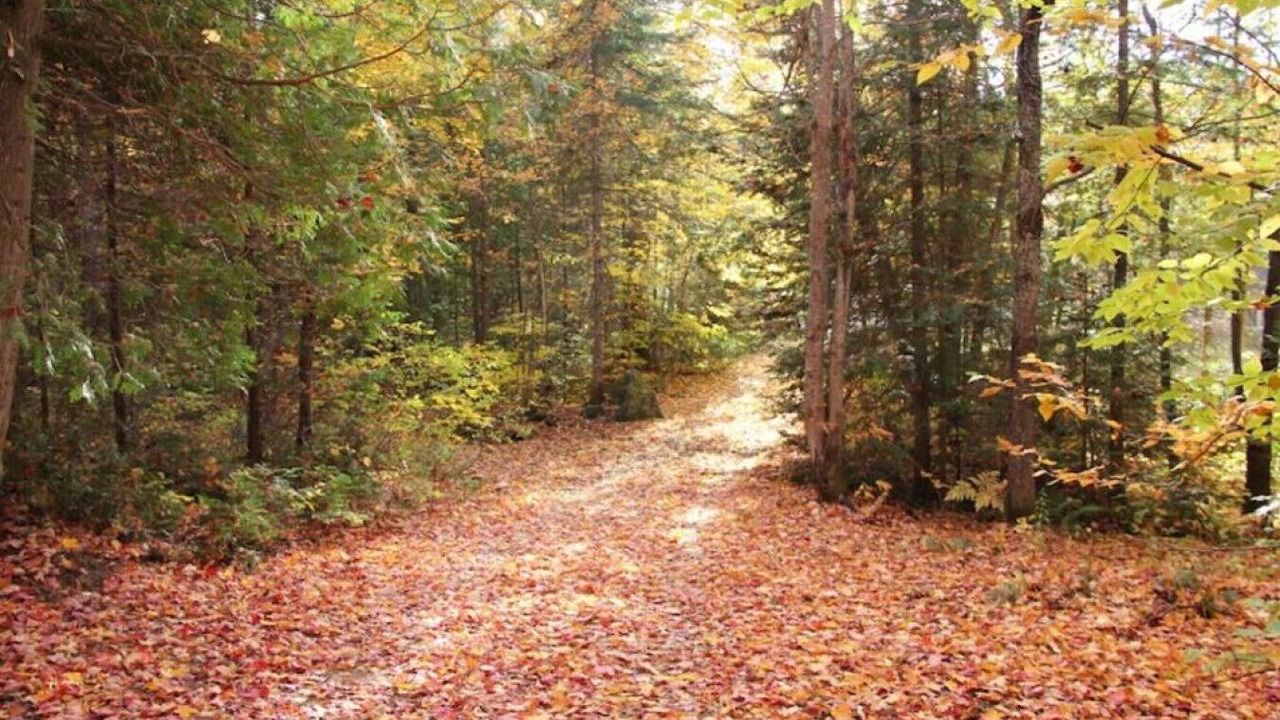 Photo of Others in St-Adolphe-d'Howard