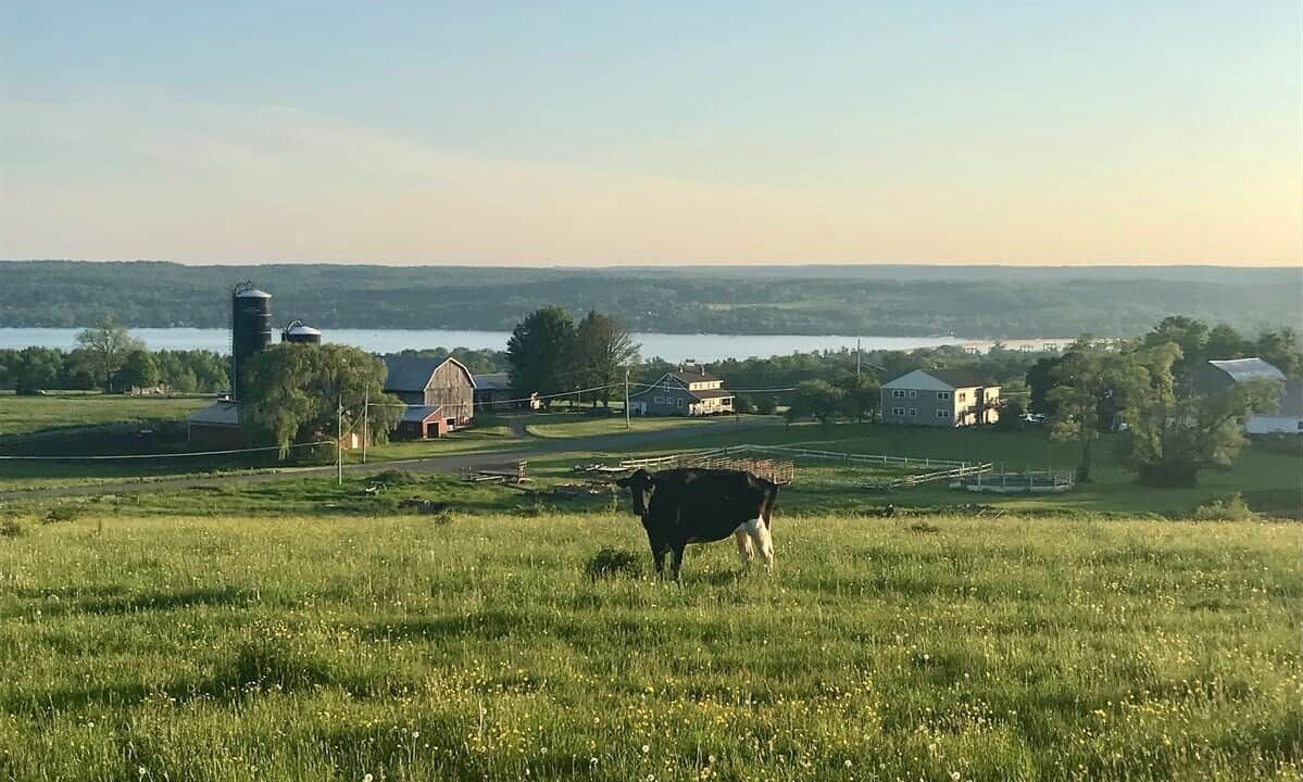 Photo of Others in Bemus Point