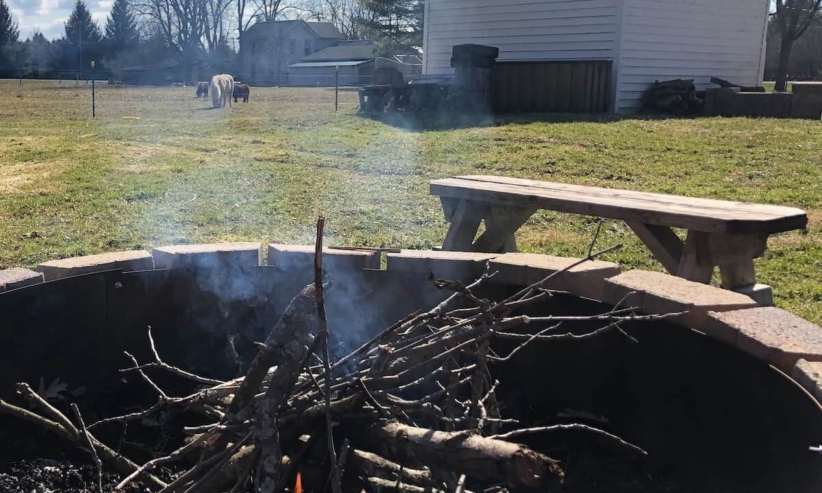 Photo of Outdoor in Bemus Point