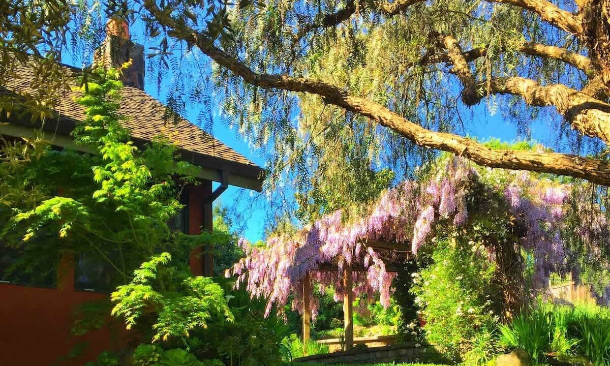 Photo of Outdoor in Penngrove