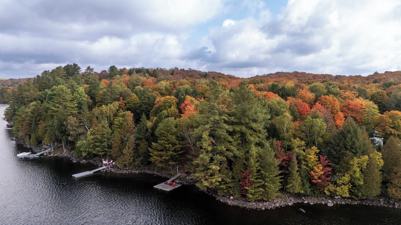 Photo of Others in Haliburton
