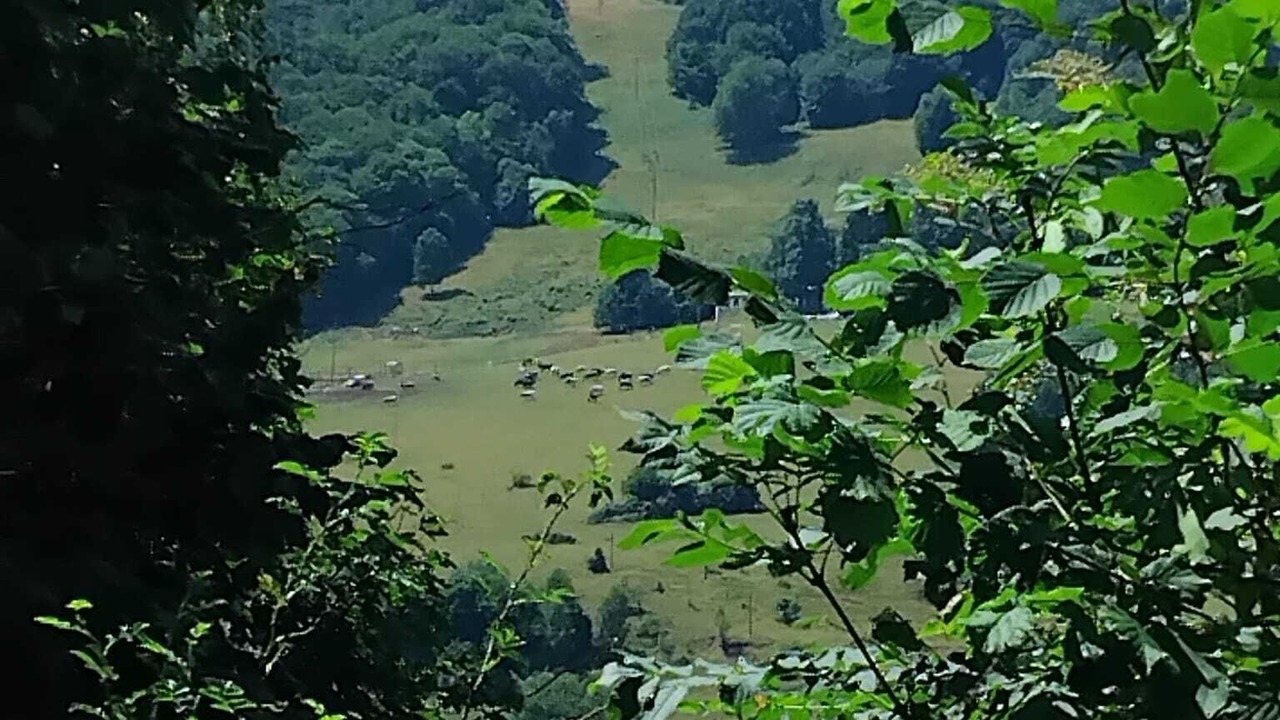 Photo of Others in Rimbach-pres-Guebwiller