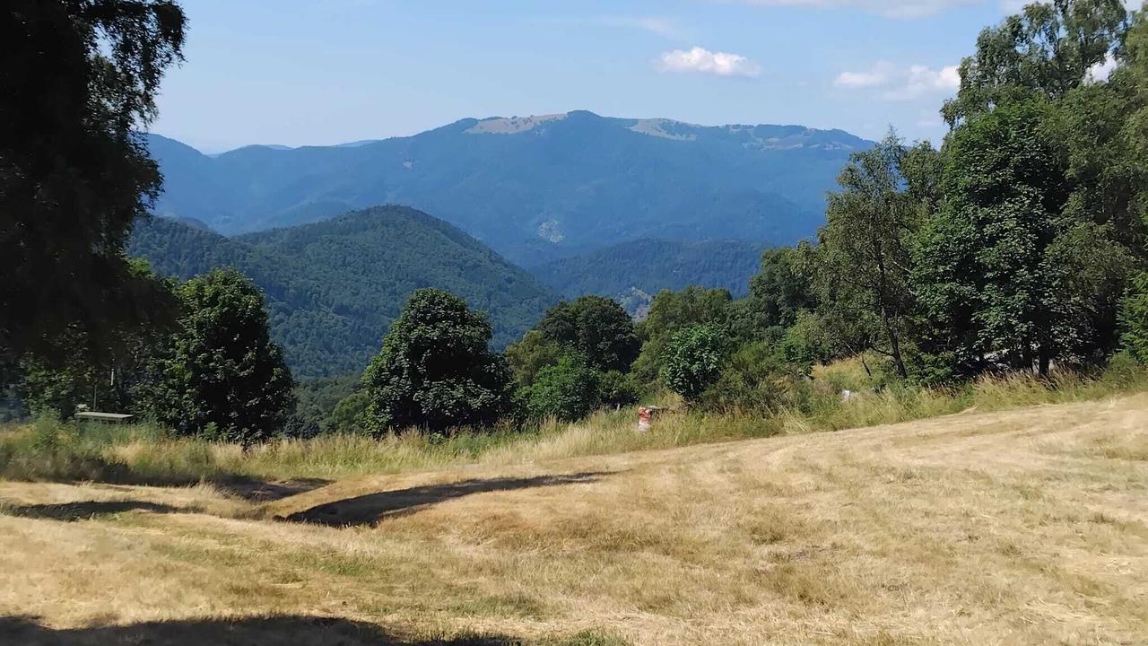 Photo of Others in Rimbach-pres-Guebwiller