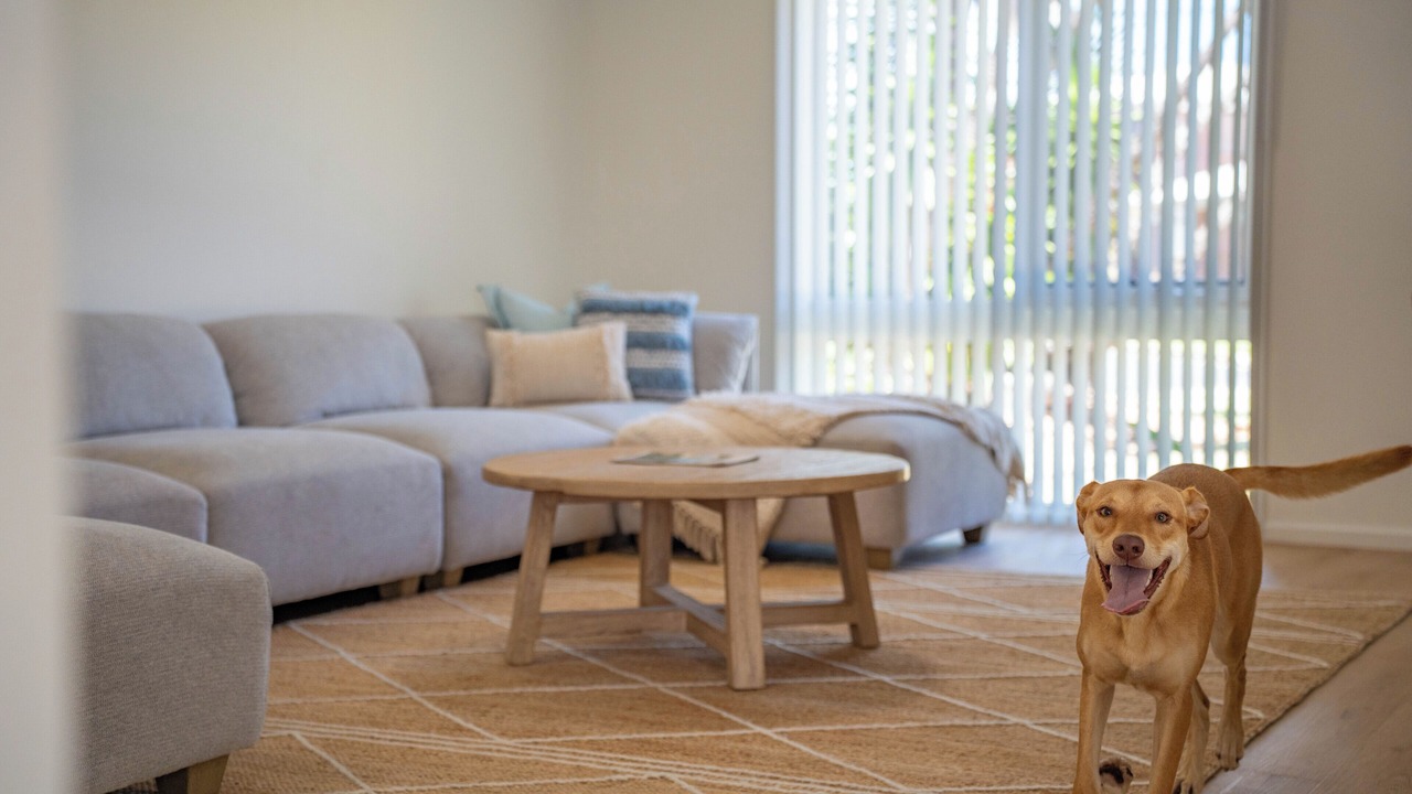 Photo of Others in Arrawarra Headland