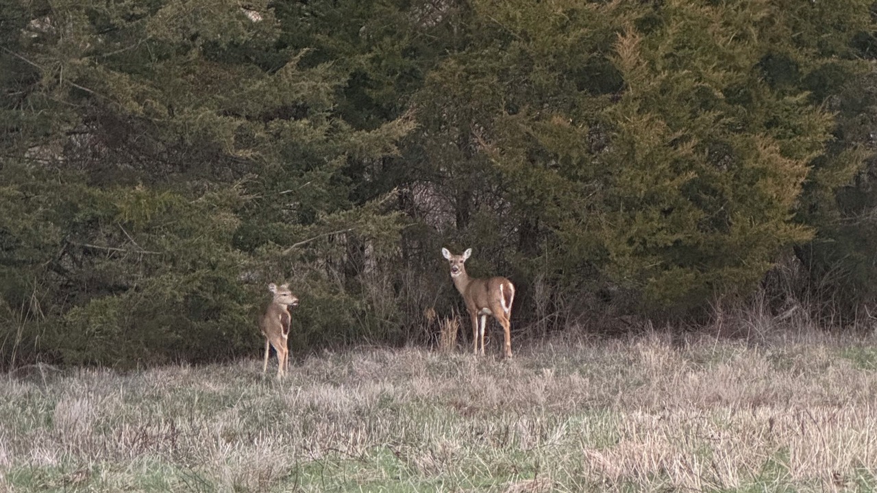 Photo of Others in Steelville