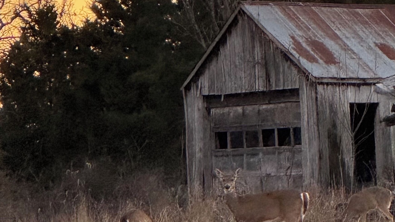 Photo of Others in Steelville