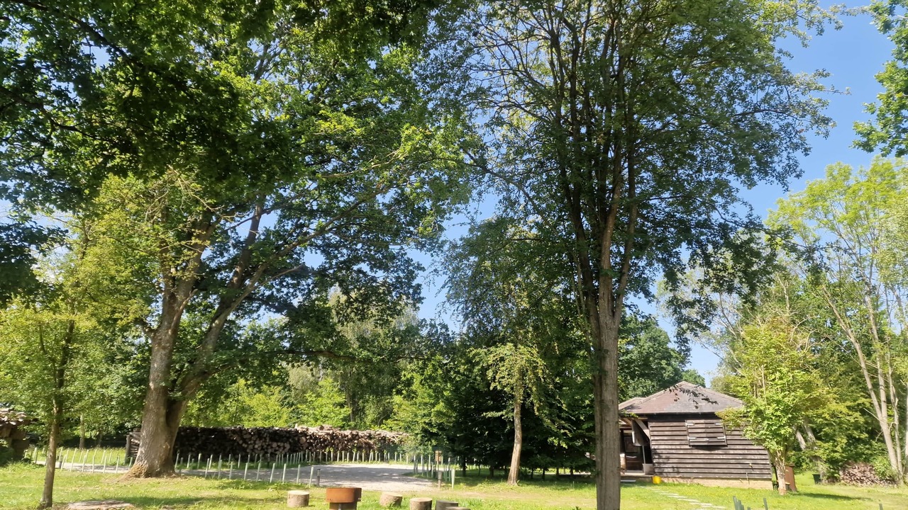 Photo of Outdoor in Cranbrook