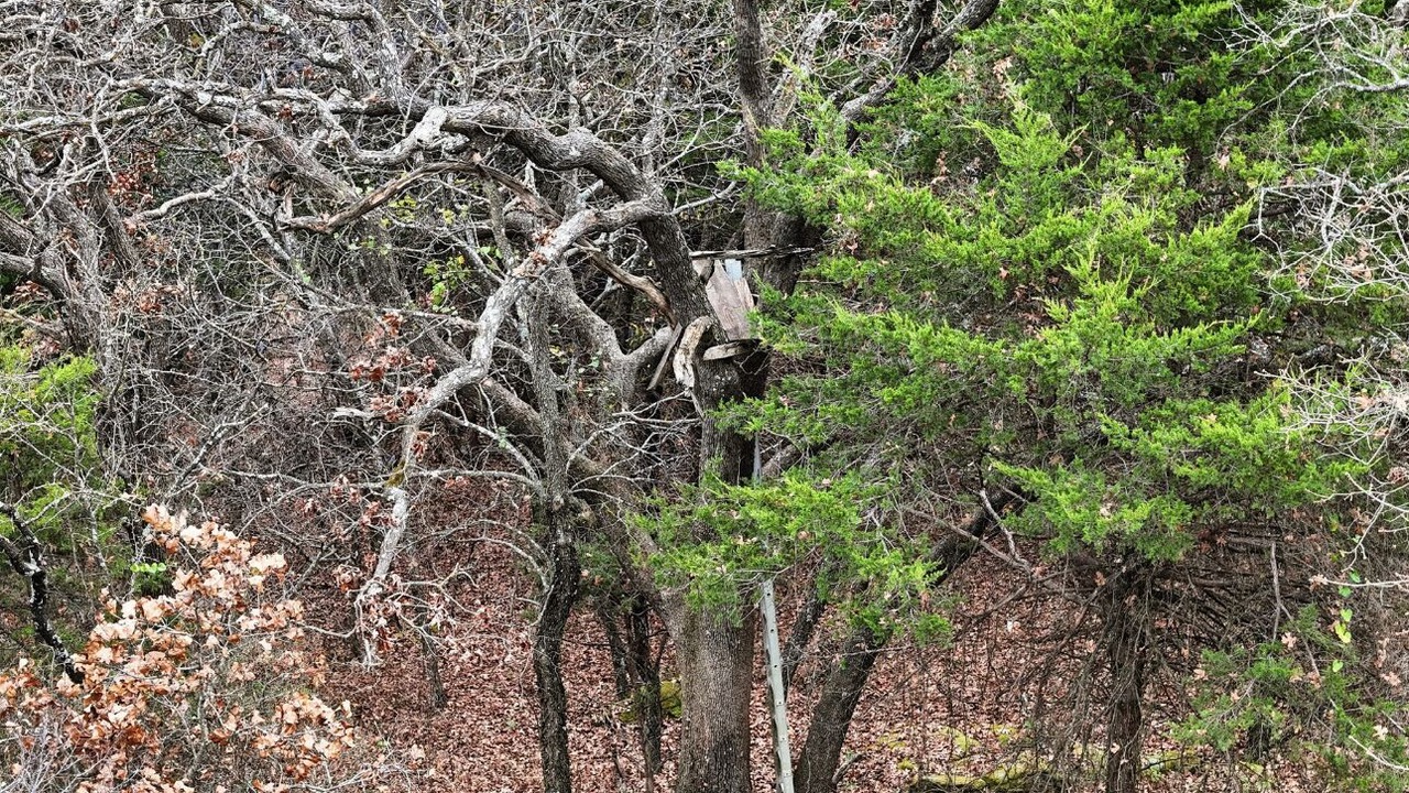 Photo of Others in Stillwater
