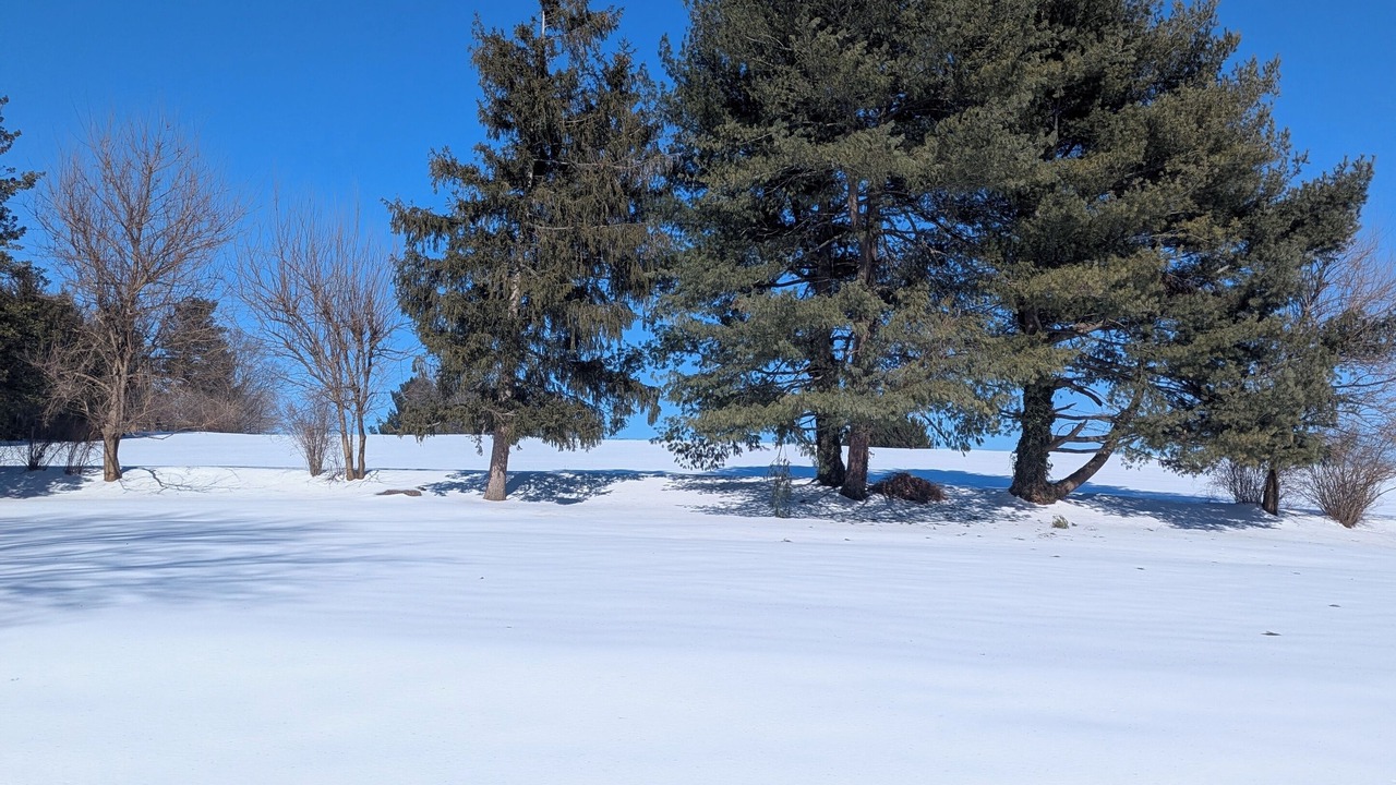 Photo of Others in Middletown