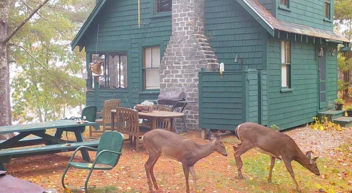 Photo of Outdoor in Belfast
