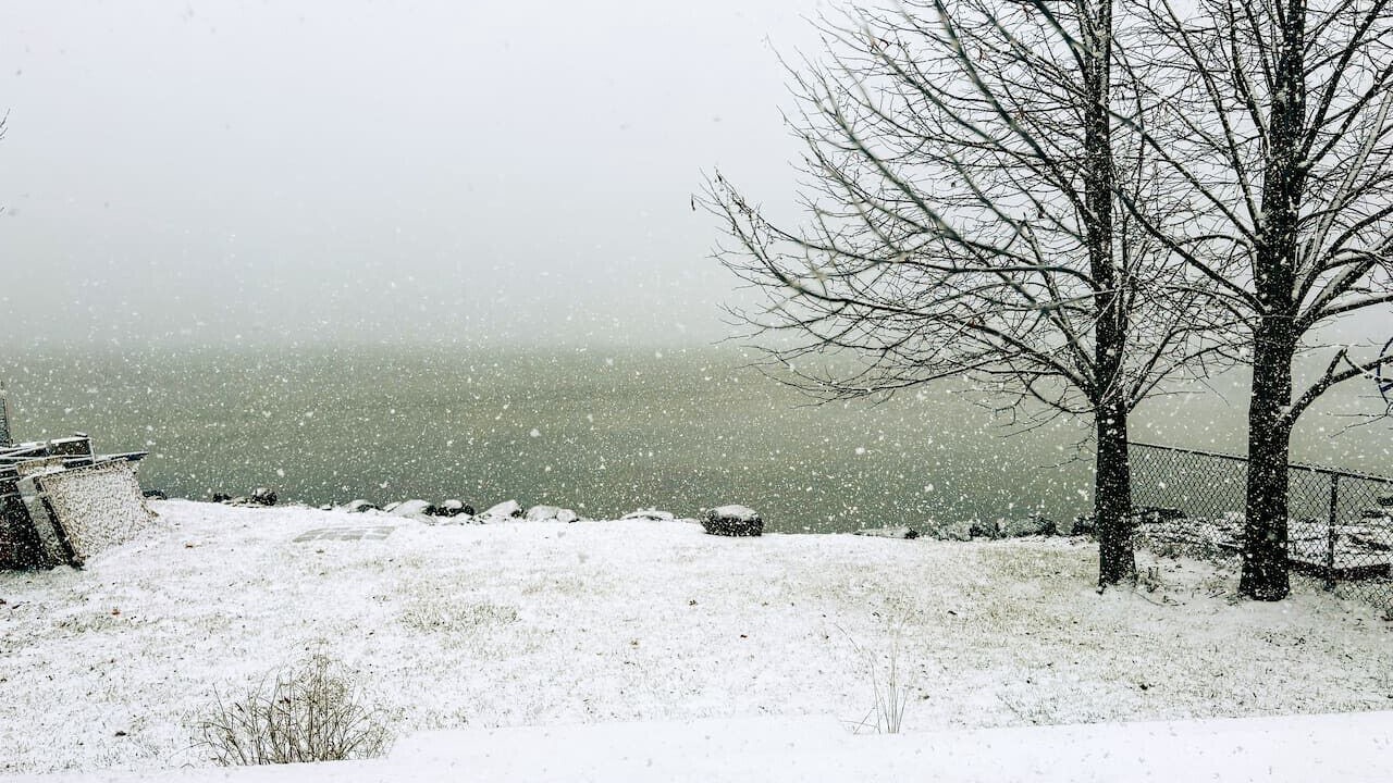 Photo of Others in Innisfil