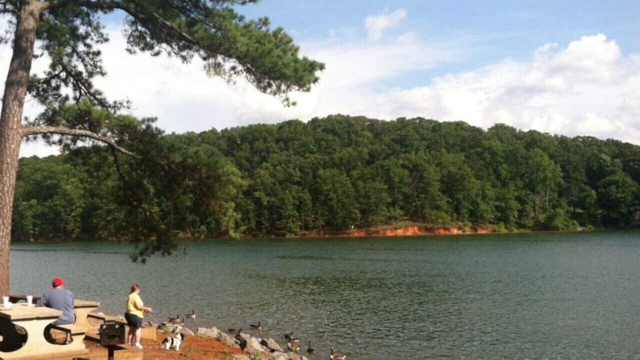 Photo of Others in Cartersville