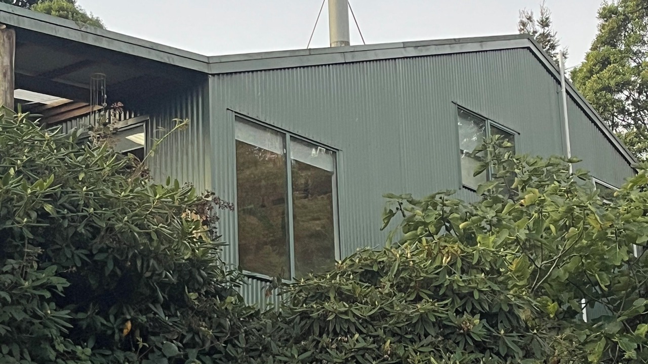 Photo of Outdoor in Beech Forest