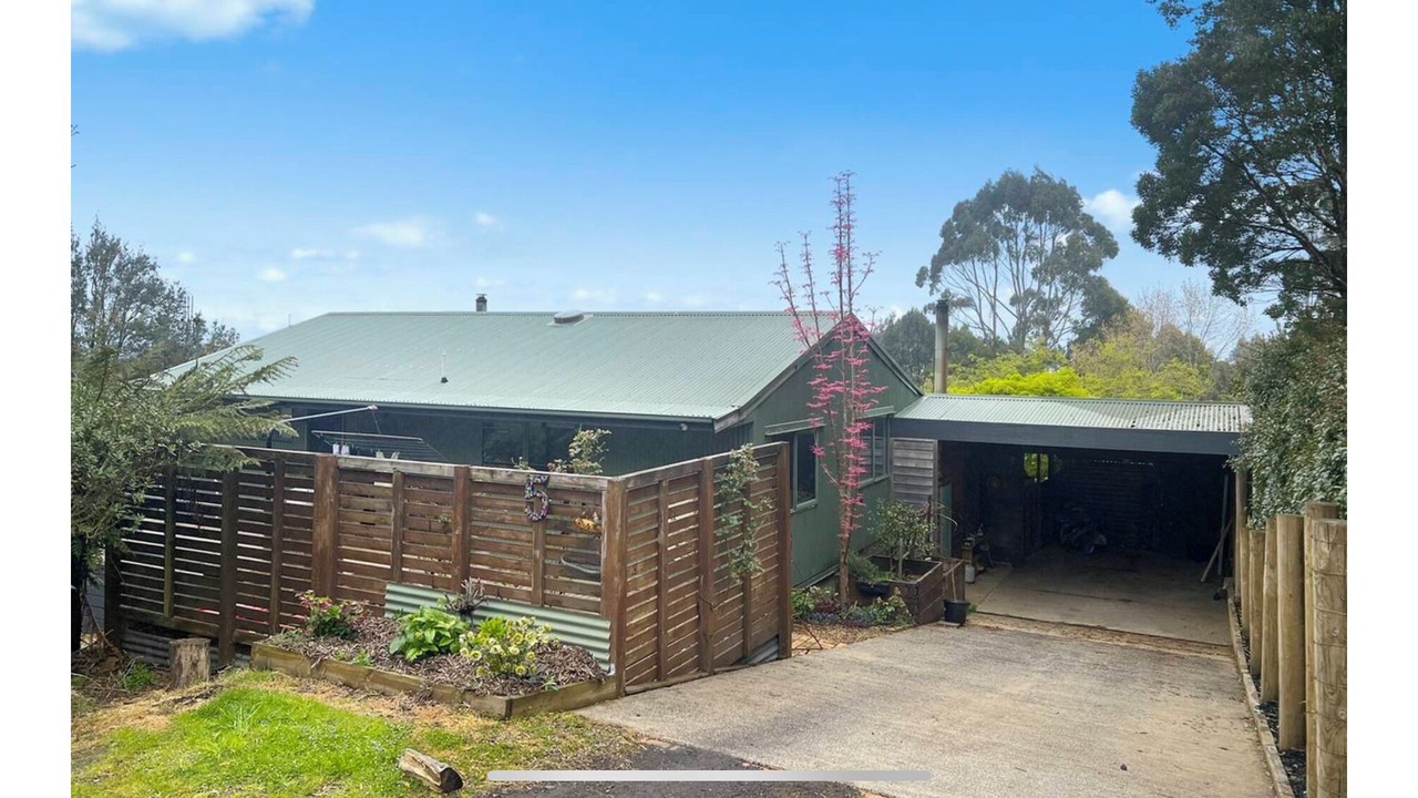 Photo of Outdoor in Beech Forest