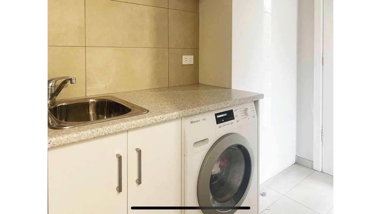 Photo of Others in Beech Forest