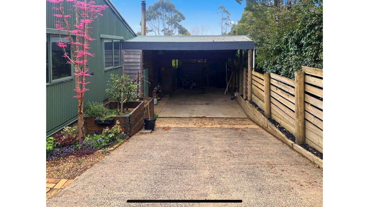 Photo of Outdoor in Beech Forest