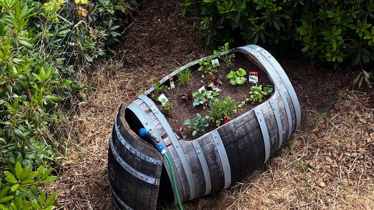 Photo of Outdoor in Beech Forest