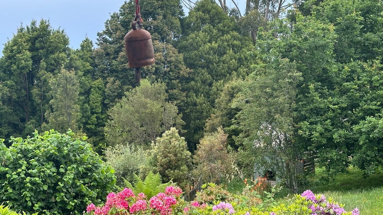 Photo of Outdoor in Beech Forest