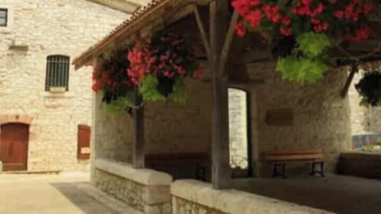 Photo of Outdoor in Bias