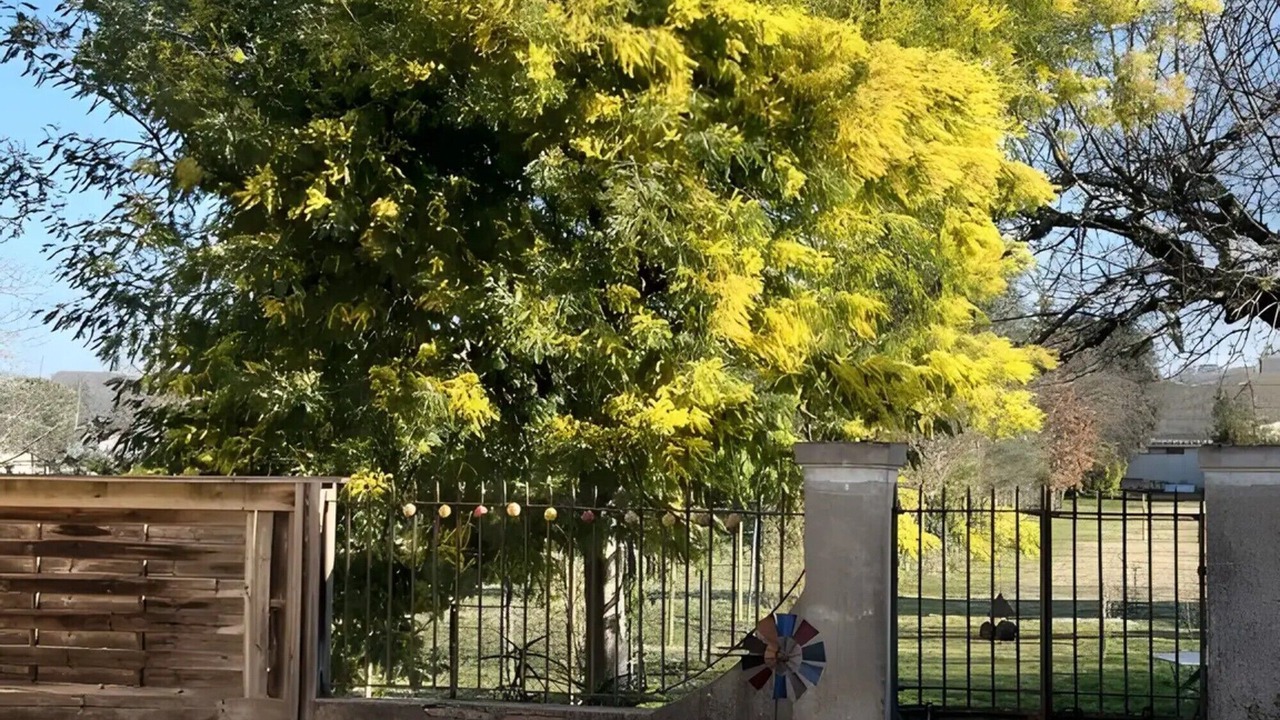 Photo of Outdoor in Lamagistere