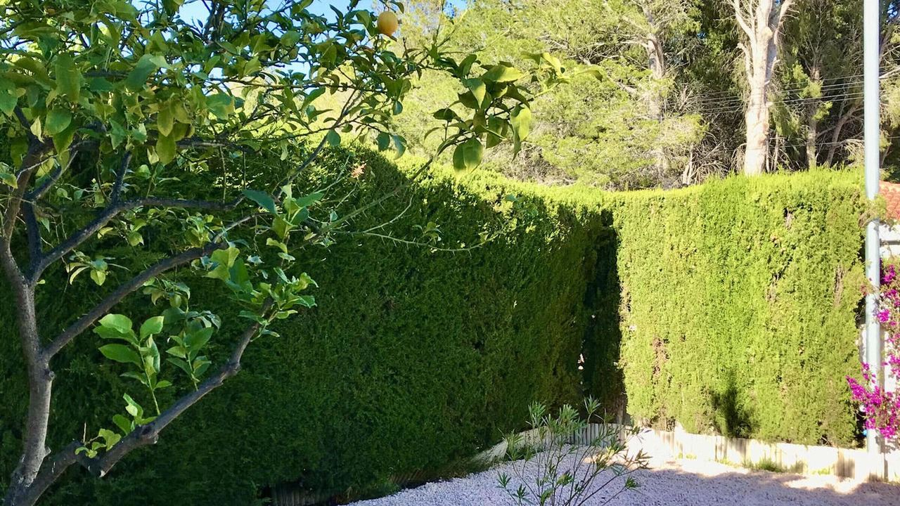 Photo of Outdoor in Miami Platja