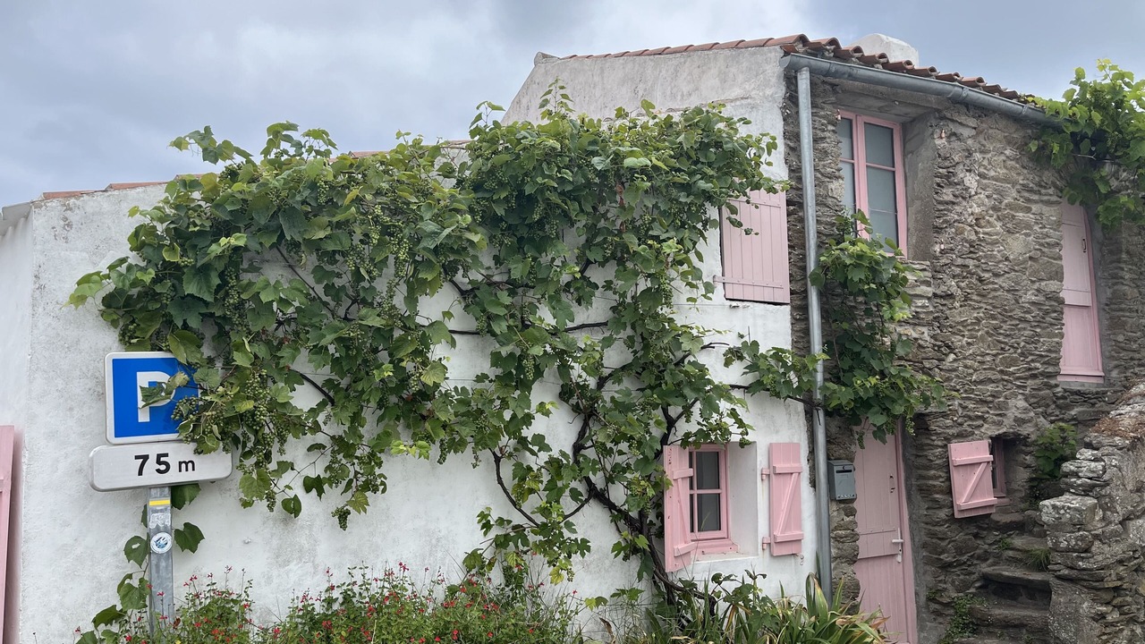 Photo of Outdoor in Ile d'Yeu