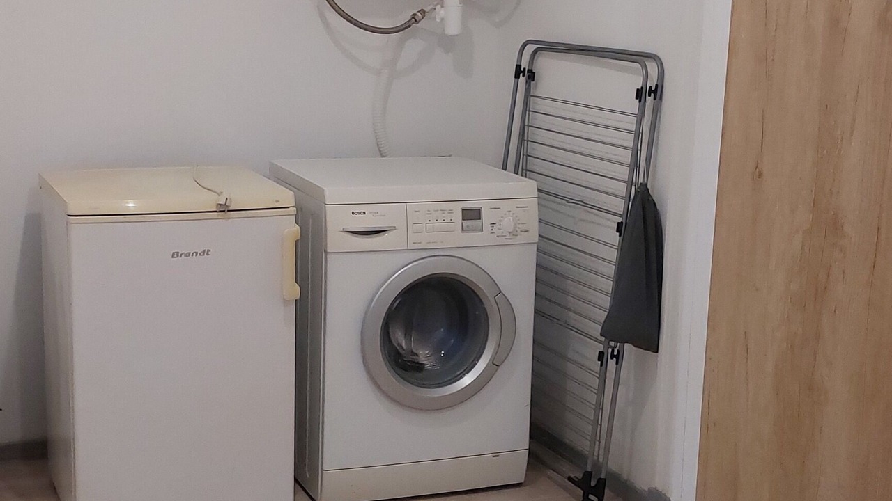 Photo of Others in Sistels