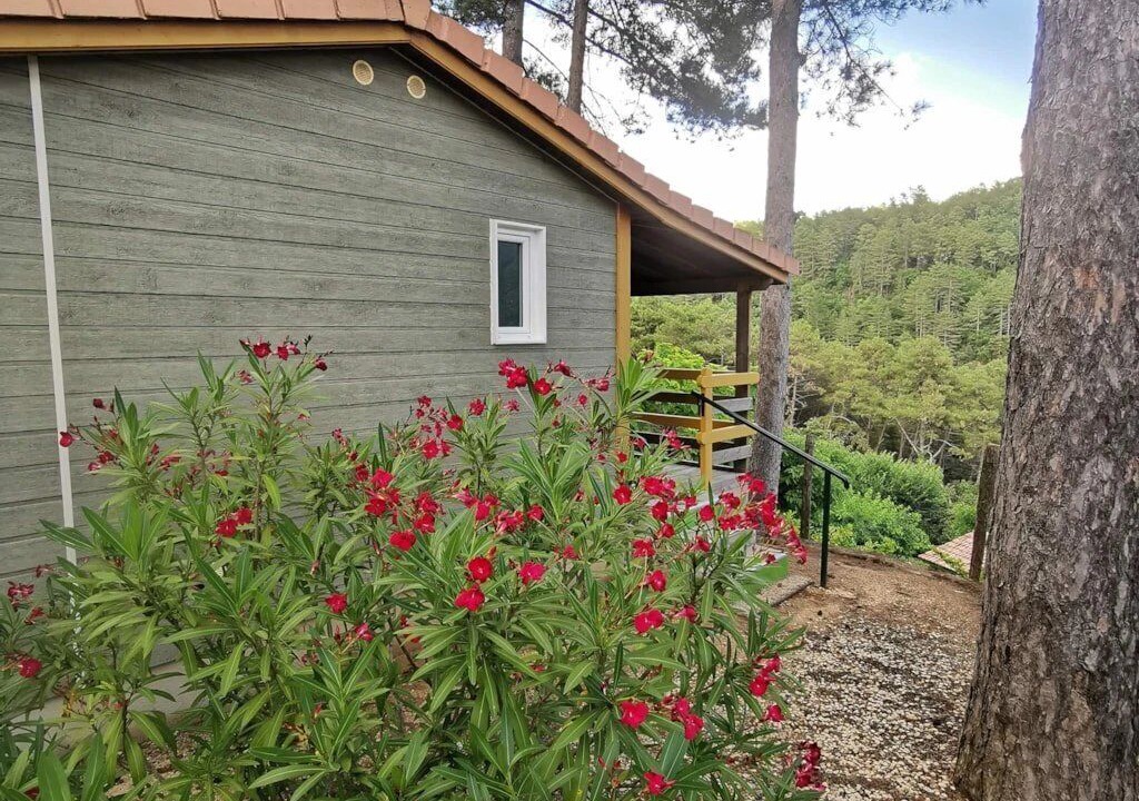 Photo of Outdoor in Ucel