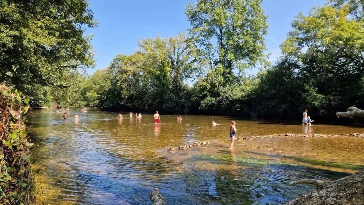 Photo of Others in Antonne-et-Trigonant