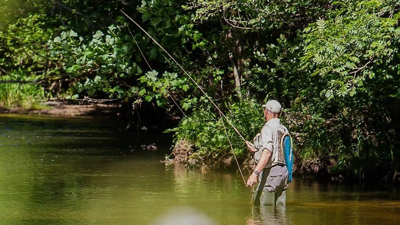 Photo of Others in Antonne-et-Trigonant