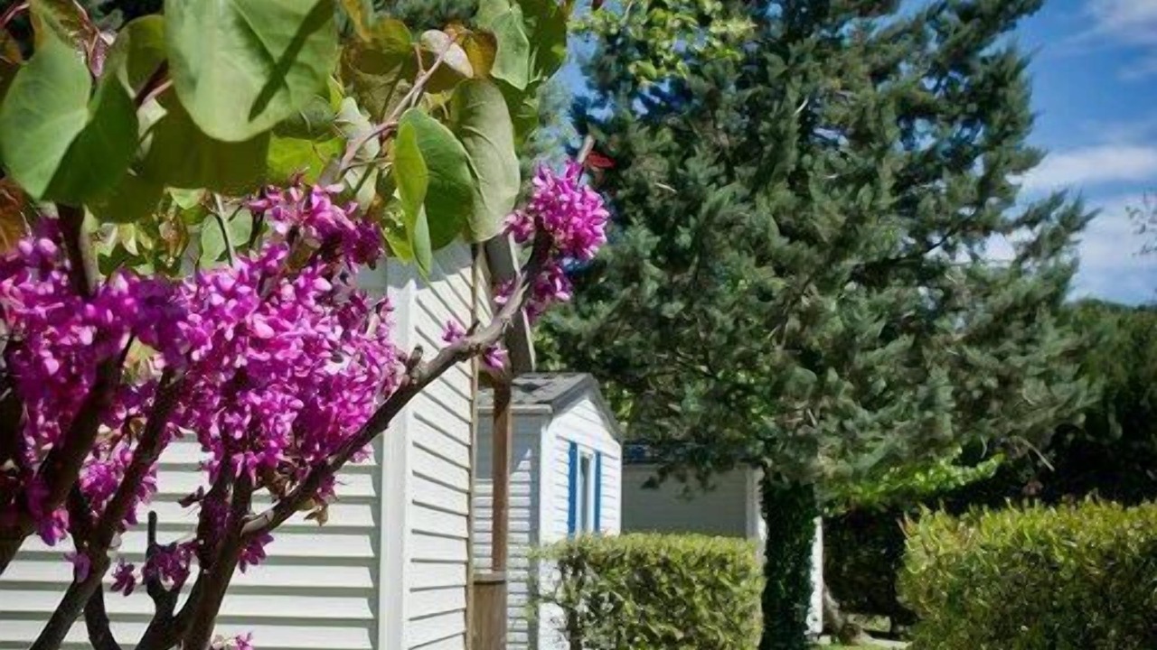 Photo of Outdoor in Saint-Jean-Pla-de-Corts